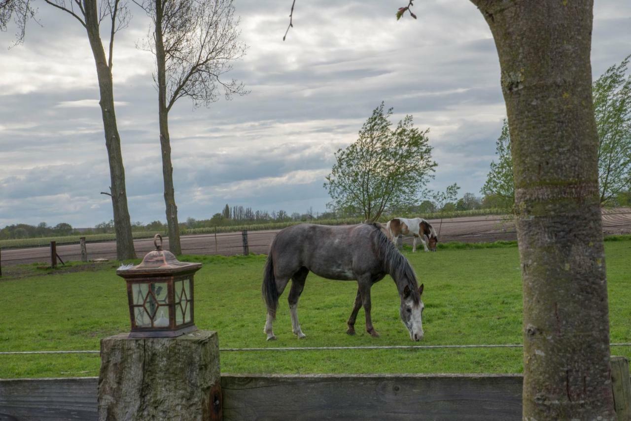 Boeren Biezen Bed Landelijk Villa Exterior photo