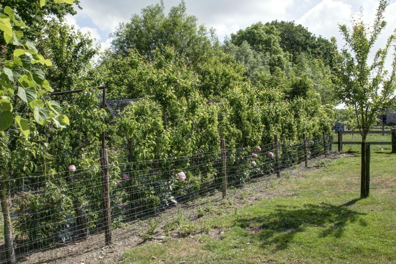 Boeren Biezen Bed Landelijk Villa Exterior photo